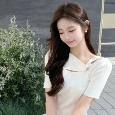 木材宝藏狗